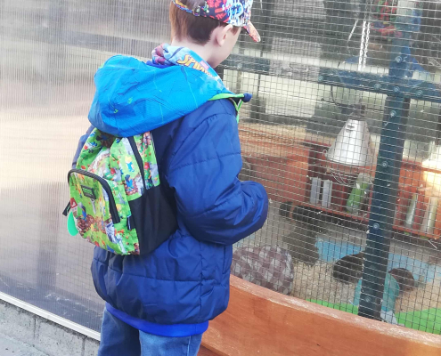 Rex-állatotthon_2025 (4)