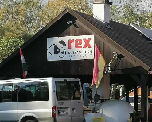 Rex-állatotthon_2025 (6)