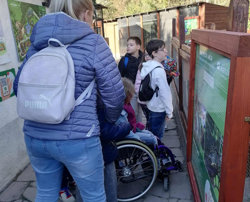 Rex-állatotthon_2025 (9)