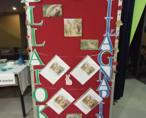 állatok világnapja_2025 (4)