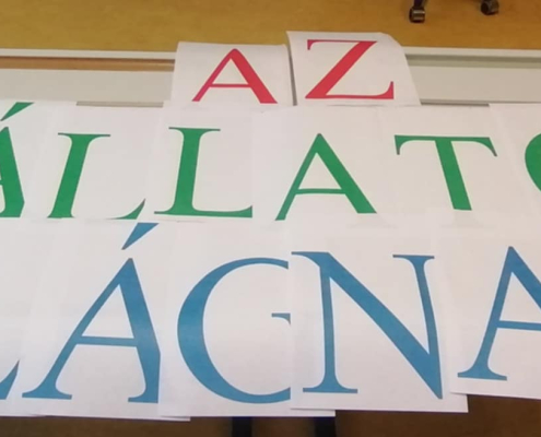 állatok világnapja_2025 (5)