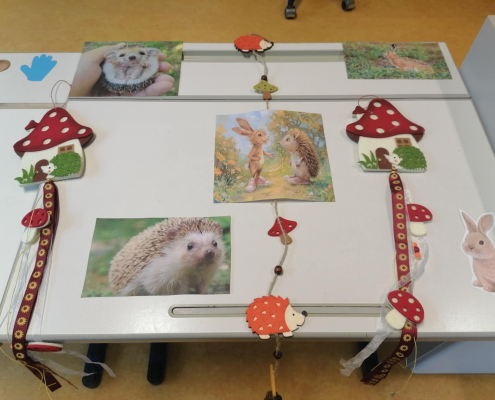 állatok világnapja_2025 (7)