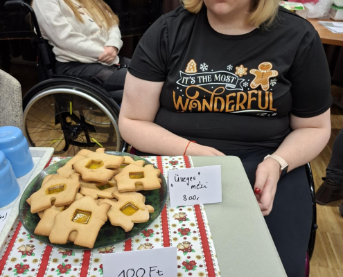 Karácsonyi vásár_2025 (8)