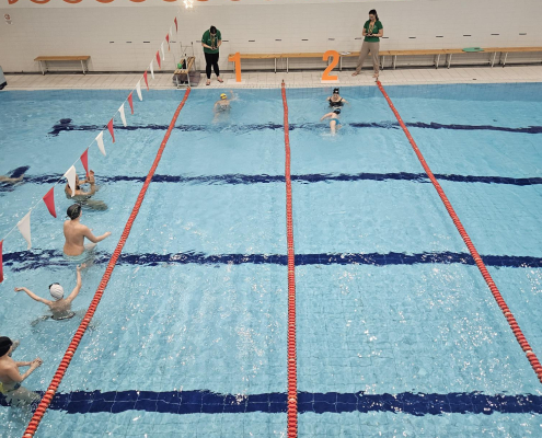 csillagszóró_2025 (3)