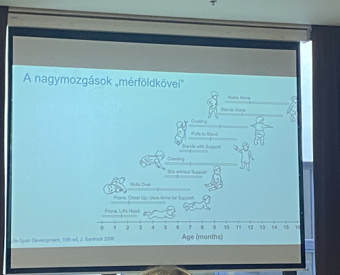 tárva-vár-2025 (13)