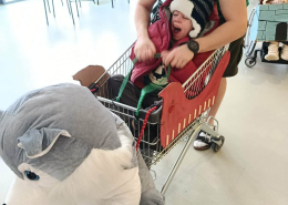 shf_farsangi_prod_2026 (2)