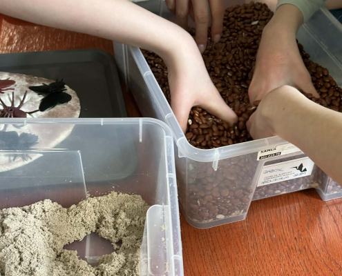 Digitális témahét_alsós_2026 (35)