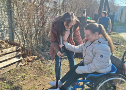 Faültetés_2026 (1)