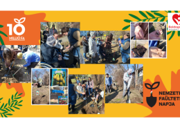 Faültetés_2026 (11)