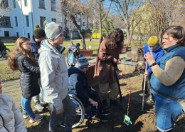 Faültetés_2026 (5)