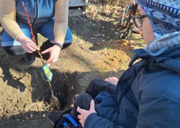 Faültetés_2026 (6)