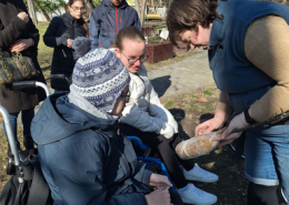 Faültetés_2026 (7)