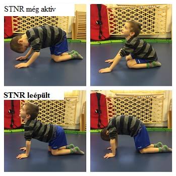 disszemináció_csepregi_erika_2026 (4)