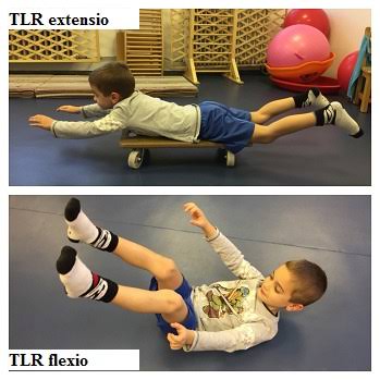 disszemináció_csepregi_erika_2026 (5)