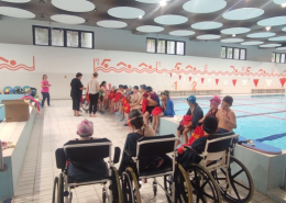 Százszorszép_2026 (4)