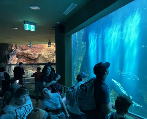 Poroszló5